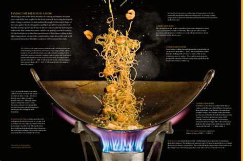 wok science